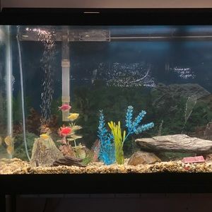 Meet your Posher, Eddie